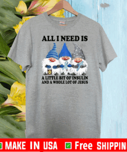 Gnomes All I Need Is A Little Bit Of Insulin Tee Shirts