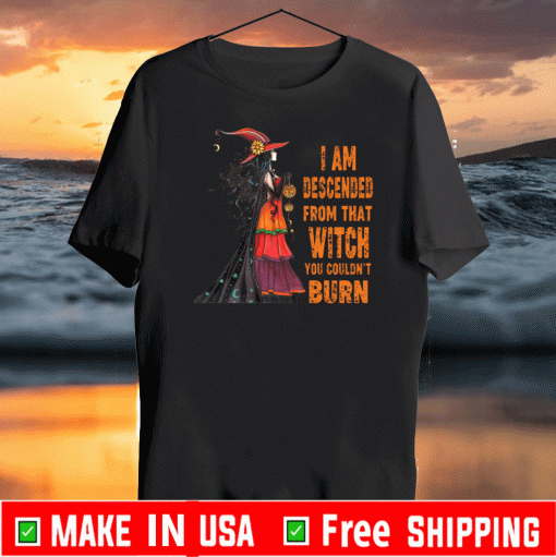 I Am Descended From That Witch You Couldn’t Burn Tee Shirts