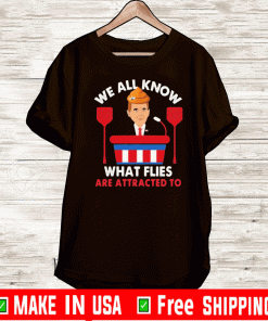 We All Know What Flies Are Attracted To Funny Pence 2020 VP Debate Shirt