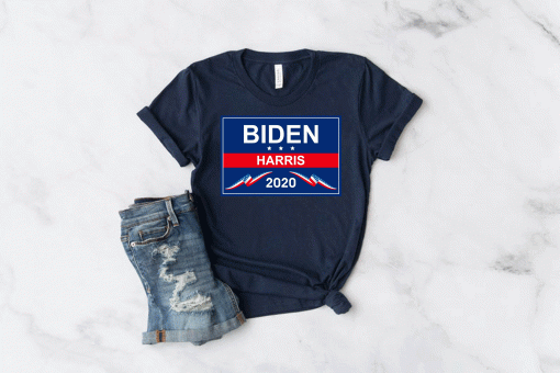 Biden Harris American 2020 T-Shirt
