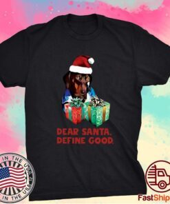 Dachshund Dear Santa Define Good Christmas 2021 T-Shirt