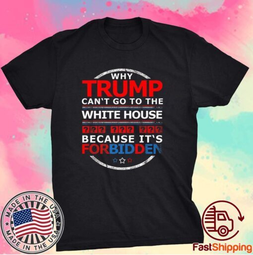 Joe Biden Victory Anti Trump Progressive Liberal 2020 T-Shirt