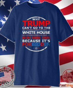 Joe Biden Victory Anti Trump Progressive Liberal 2020 T-Shirt