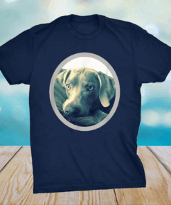 Cailey the Weimaraner at rest Shirt