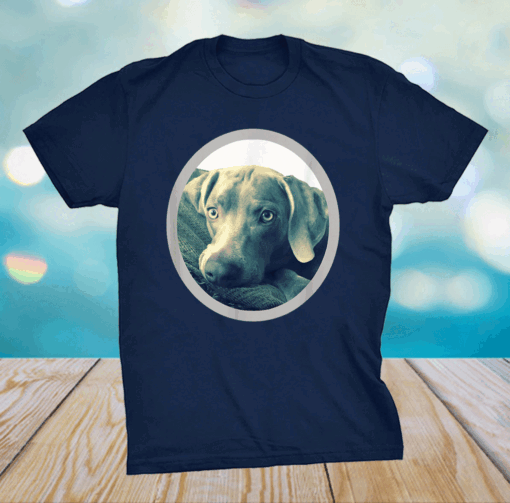 Cailey the Weimaraner at rest Shirt