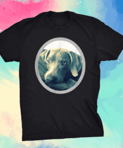 Cailey the Weimaraner at rest Shirt