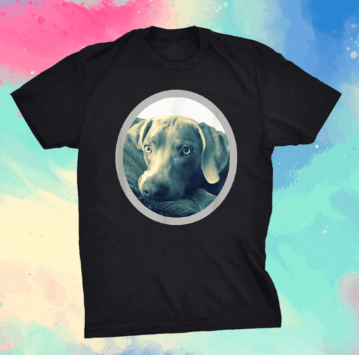 Cailey the Weimaraner at rest Shirt