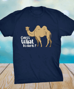 Camel Wednesday Guess What Day It Is Shirt