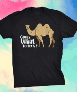 Camel Wednesday Guess What Day It Is Shirt