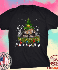 Friends Harry Potter Hermione And Ron Weasley Christmas Tree T-Shirt