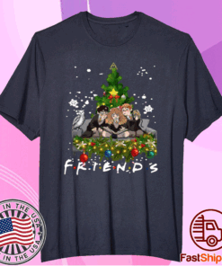 Friends Harry Potter Hermione And Ron Weasley Christmas Tree T-Shirt