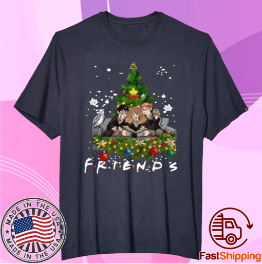 Friends Harry Potter Hermione And Ron Weasley Christmas Tree T-Shirt