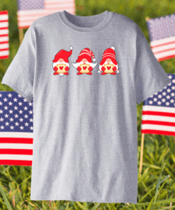 Gnomes Valentine’s Day Shirt