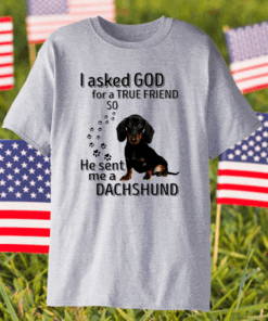 I Asked God For A True Friend So He Sent Me A Dachshund Shirt