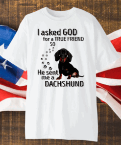 I Asked God For A True Friend So He Sent Me A Dachshund Shirt