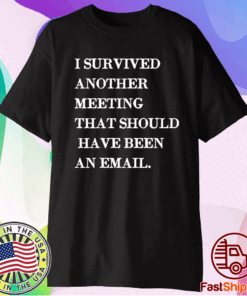 I survived another meeting that should have been an email shirt