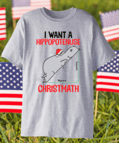 I want a Hippopotenuse Christmath Christmas T-Shirts