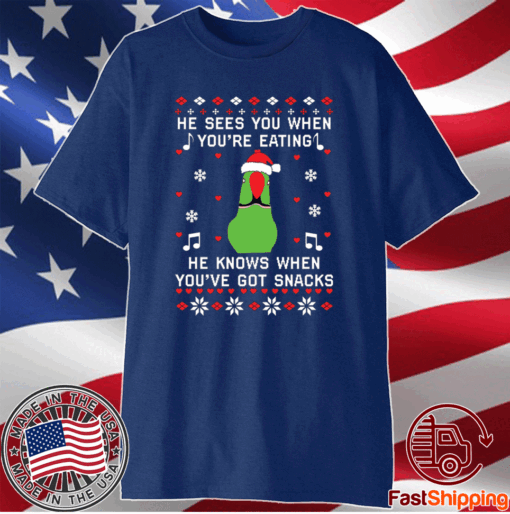 Parrot He sees you when you’re eating Christmas T-Shirt