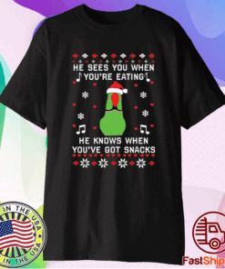 Parrot He sees you when you’re eating Christmas T-Shirt