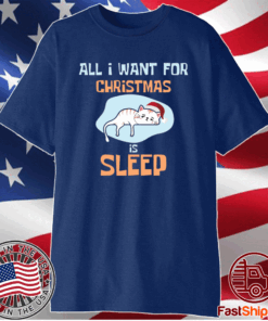 Santa Kitten All I Want For Christmas Is Sleep T-Shirt