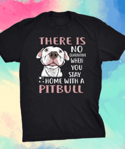 There Is No Quarantine When You Stay Home With A Pitbull Shirt