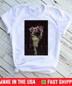 Good Border Collie Color Paint Vertical Shirt