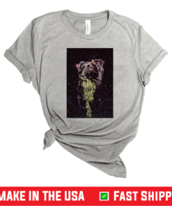 Good Border Collie Color Paint Vertical Shirt