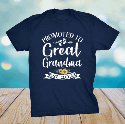 Promoted To Great Grandma est 2021 Shirt Mother's Day T-Shirt