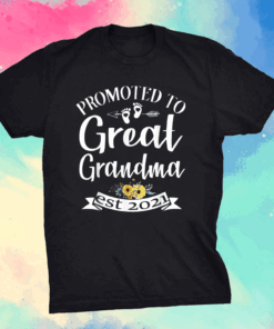 Promoted To Great Grandma est 2021 Shirt Mother's Day T-Shirt