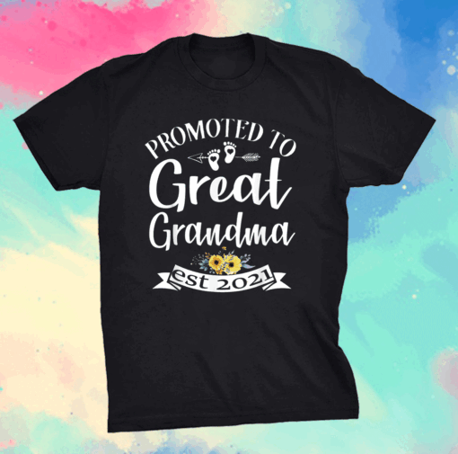 Promoted To Great Grandma est 2021 Shirt Mother's Day T-Shirt