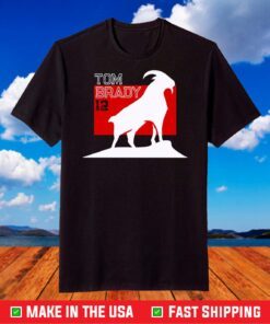 Tom Brady Goat 12 Tampa Bay Buccaneers shirt, NFL Champion Team shirt