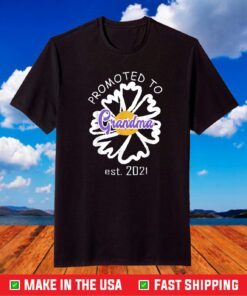 promoted to grandma est 2021 Mothers Day Gift for grandma T-Shirts