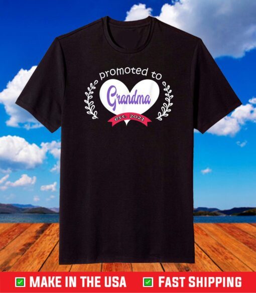 promoted to grandma est 2021 Mothers Day Gift for grandma T-Shirt