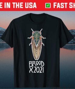 Brood X The Great Eastern Brood 2021 Classic T-Shirt