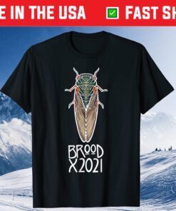 Brood X The Great Eastern Brood 2021 Classic T-Shirt