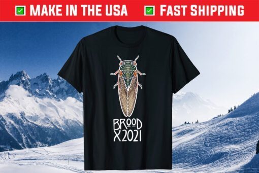 Brood X The Great Eastern Brood 2021 Classic T-Shirt