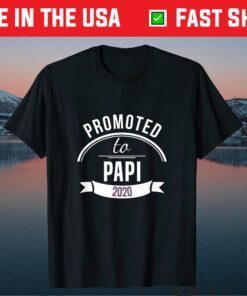 Promoted To Papi Est 2020 Gift First Time Dad Father's Day Classic T-Shirt