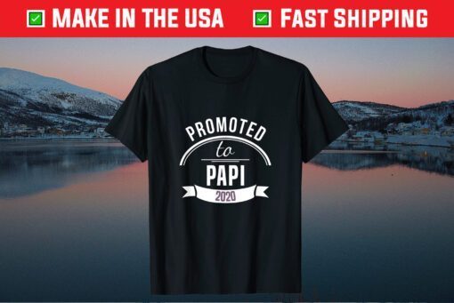 Promoted To Papi Est 2020 Gift First Time Dad Father's Day Classic T-Shirt