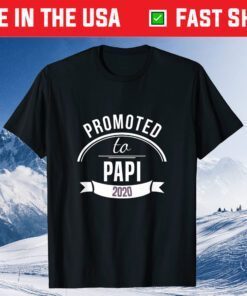 Promoted To Papi Est 2020 Gift First Time Dad Father's Day Classic T-Shirt