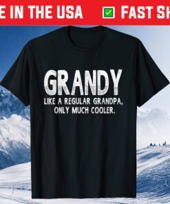 Grandy Definition Like Regular Grandpa Only Cooler Classic T-Shirt