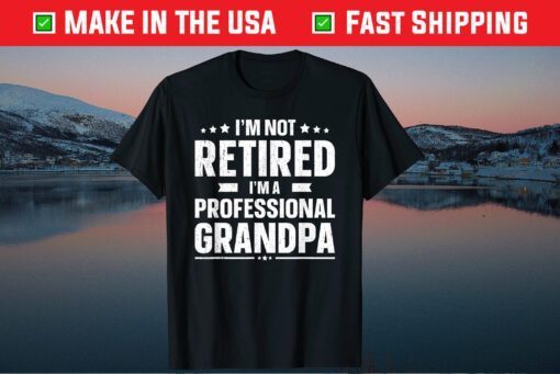 I'm Not Retired I'm A Professional Grandpa Father Day Us 2021 T-Shirt