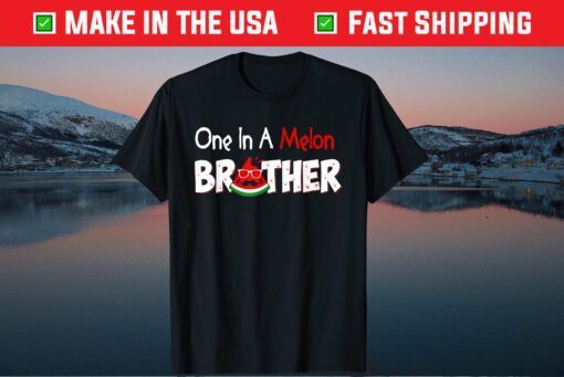 One In A Melon Brother Fathers Day Pun Watermelon Gift T-Shirt