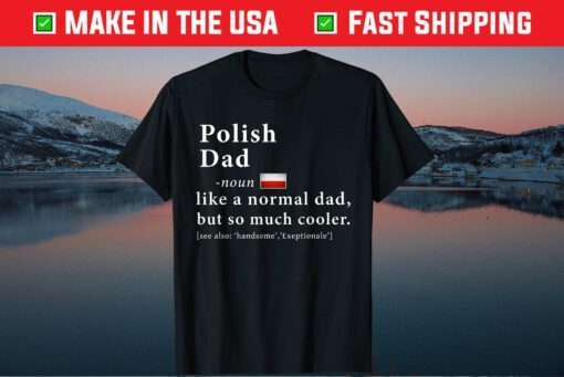 Polish Dad Definition Shirt Fathers Day Gift Flag Us 2021 T-Shirt