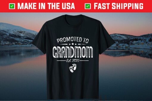 Promoted To Grandmom Est 2021 Tee Cute Mother's Day Classic T-Shirt