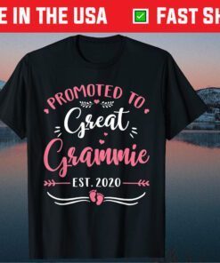 Promoted To Great Grammie Est.2020 Tee Mother's Day Classic T-Shirt
