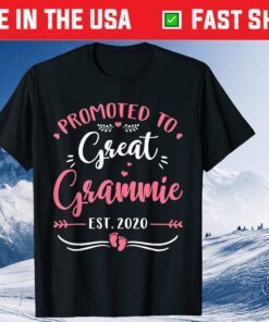 Promoted To Great Grammie Est.2020 Tee Mother's Day Classic T-Shirt