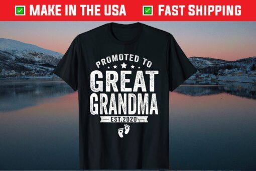 Promoted To Great Grandma est 2020 Classic T-Shirt