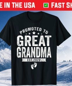 Promoted To Great Grandma est 2020 Classic T-Shirt