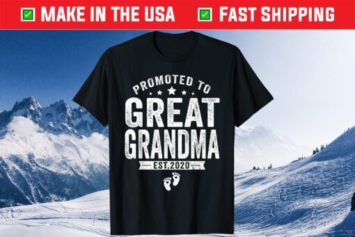 Promoted To Great Grandma est 2020 Classic T-Shirt