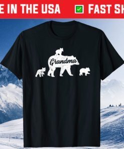 Vintage Grandma Bear 3 Cubs Mother's Day Us 2021 T-Shirt